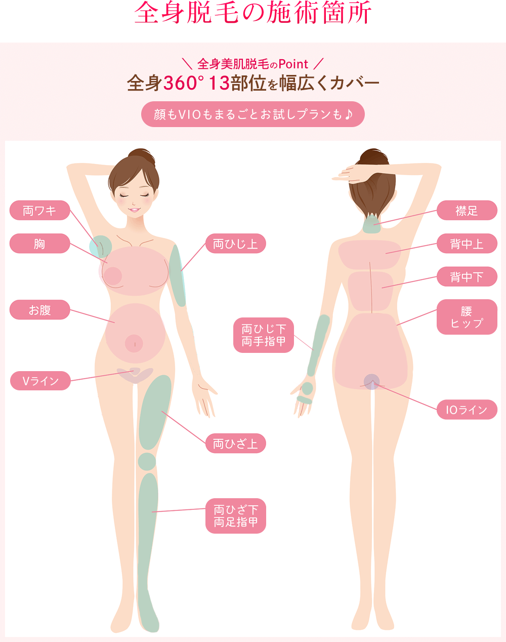 全身脱毛の施術箇所