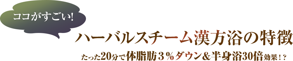 ここがすごい！ハーバルスチーム漢方浴の特徴