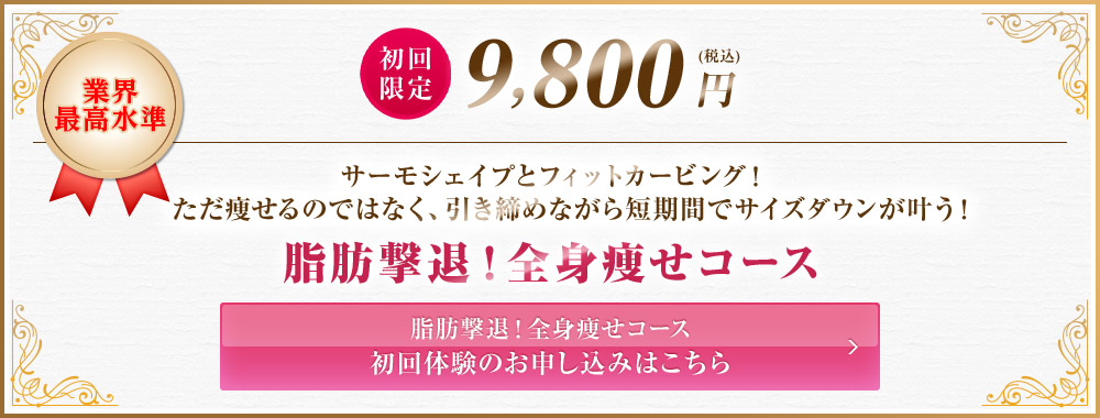 初回限定9,800円 脂肪撃退！全身痩せコース