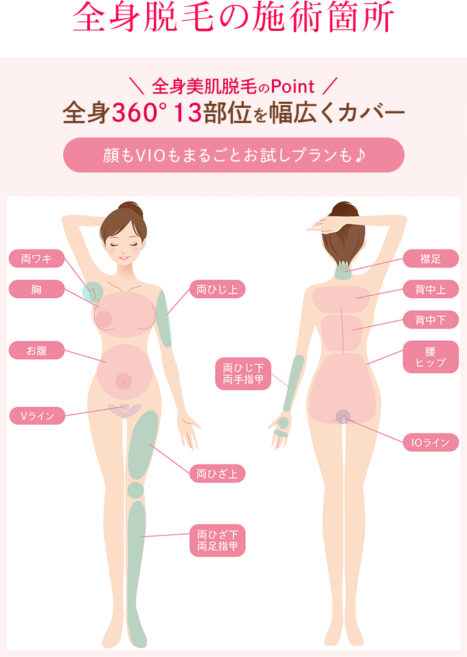 全身脱毛の施術箇所