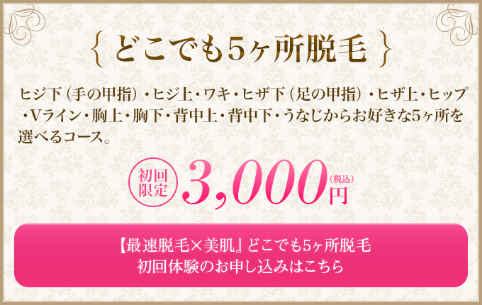 どこでも5ヶ所脱毛