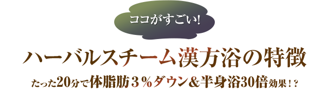 ここがすごい！ハーバルスチーム漢方浴の特徴