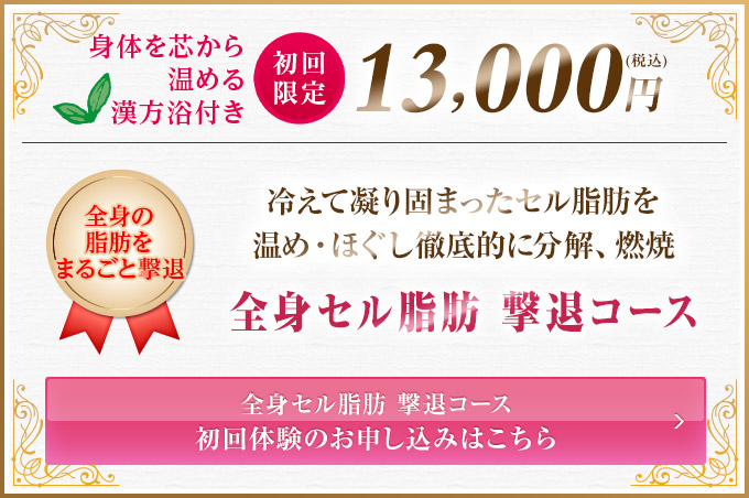 初回13,000円 セル脂肪 撃退コース