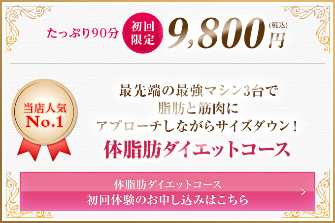 初回限定9,800円 たっぷり90分 体脂肪ダイエットコース