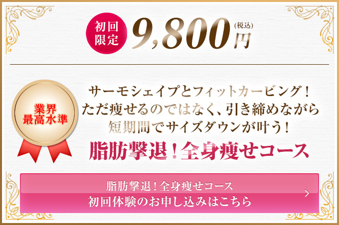 初回限定9,800円 脂肪撃退！全身痩せコース