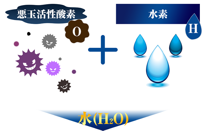 活性酵素を水素が除去!