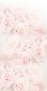 top_bg003
